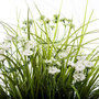 Voir la diapositive 2 : ATMOSPHERA Plante Artificielle en Pot  Herbes Folles  40cm Blanc