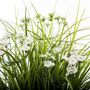 Voir la diapositive 2 : ATMOSPHERA Plante Artificielle en Pot  Herbes Folles  40cm Blanc