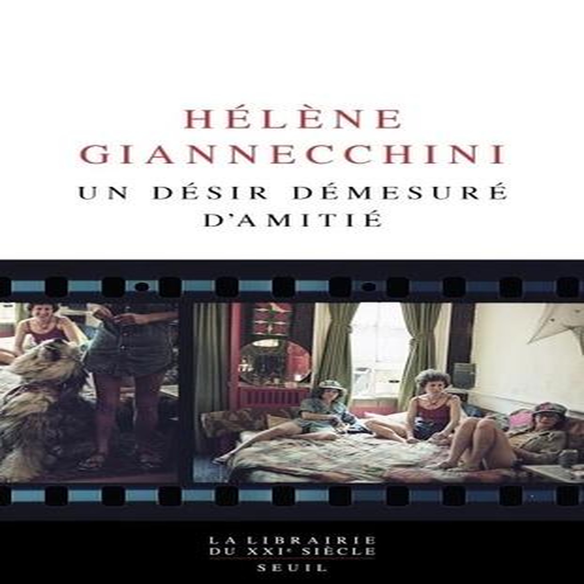 UN DESIR DEMESURE D'AMITIE, Giannecchini Hélène