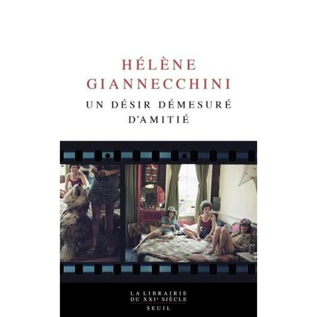 UN DESIR DEMESURE D'AMITIE, Giannecchini Hélène
