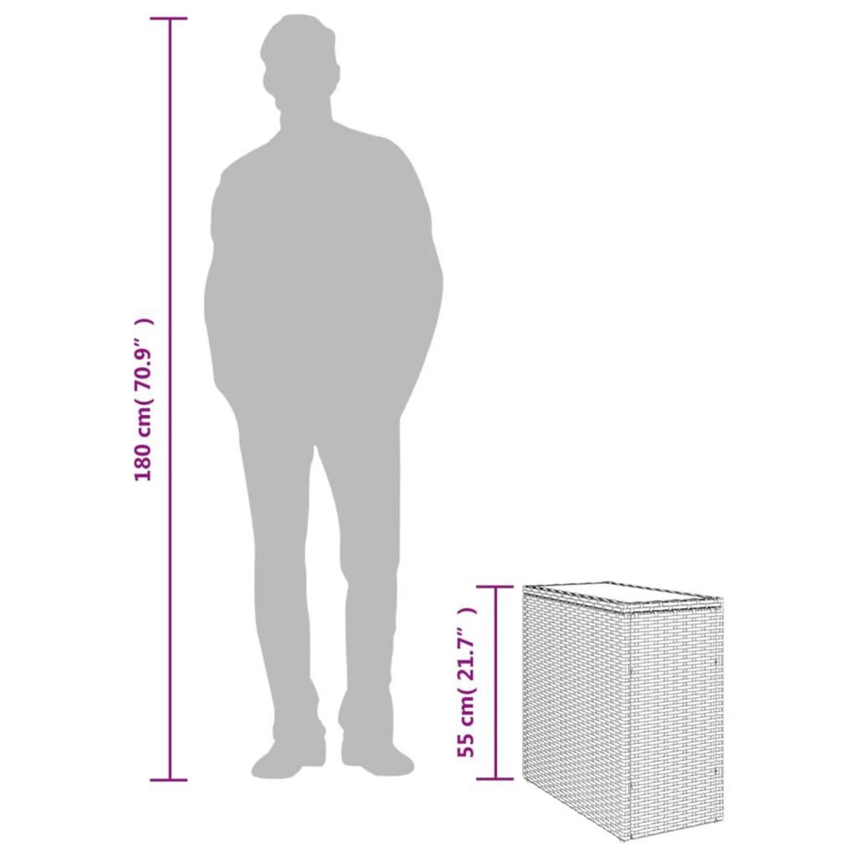 VIDAXL Table d'appoint de jardin avec dessus en verre gris rotin