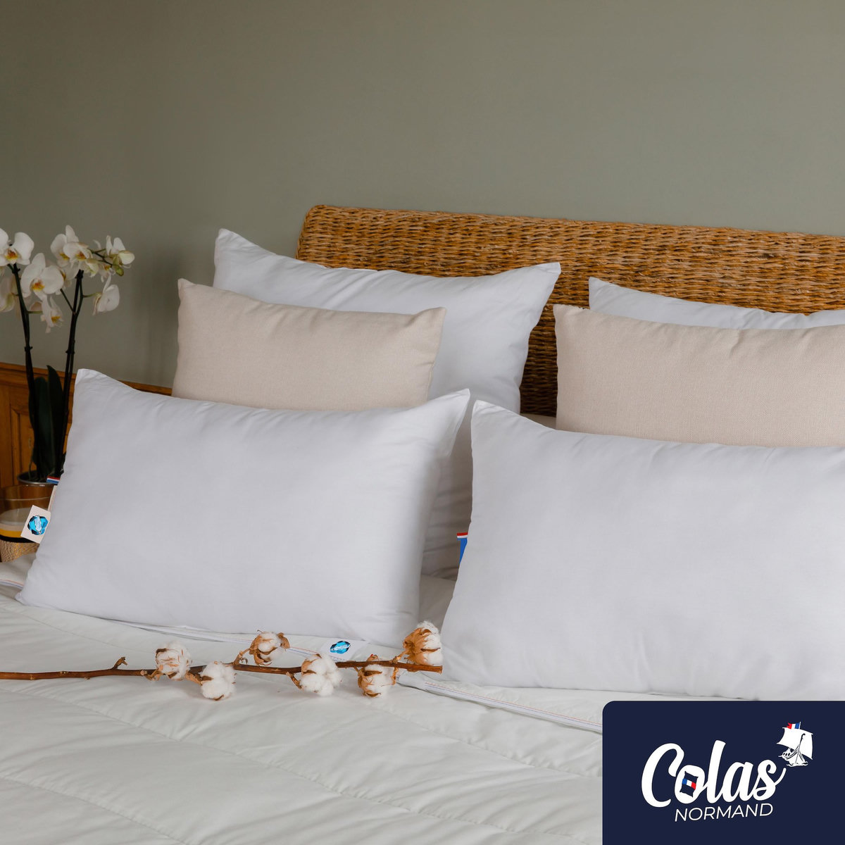 COLAS NORMAND Oreiller bio moelleux