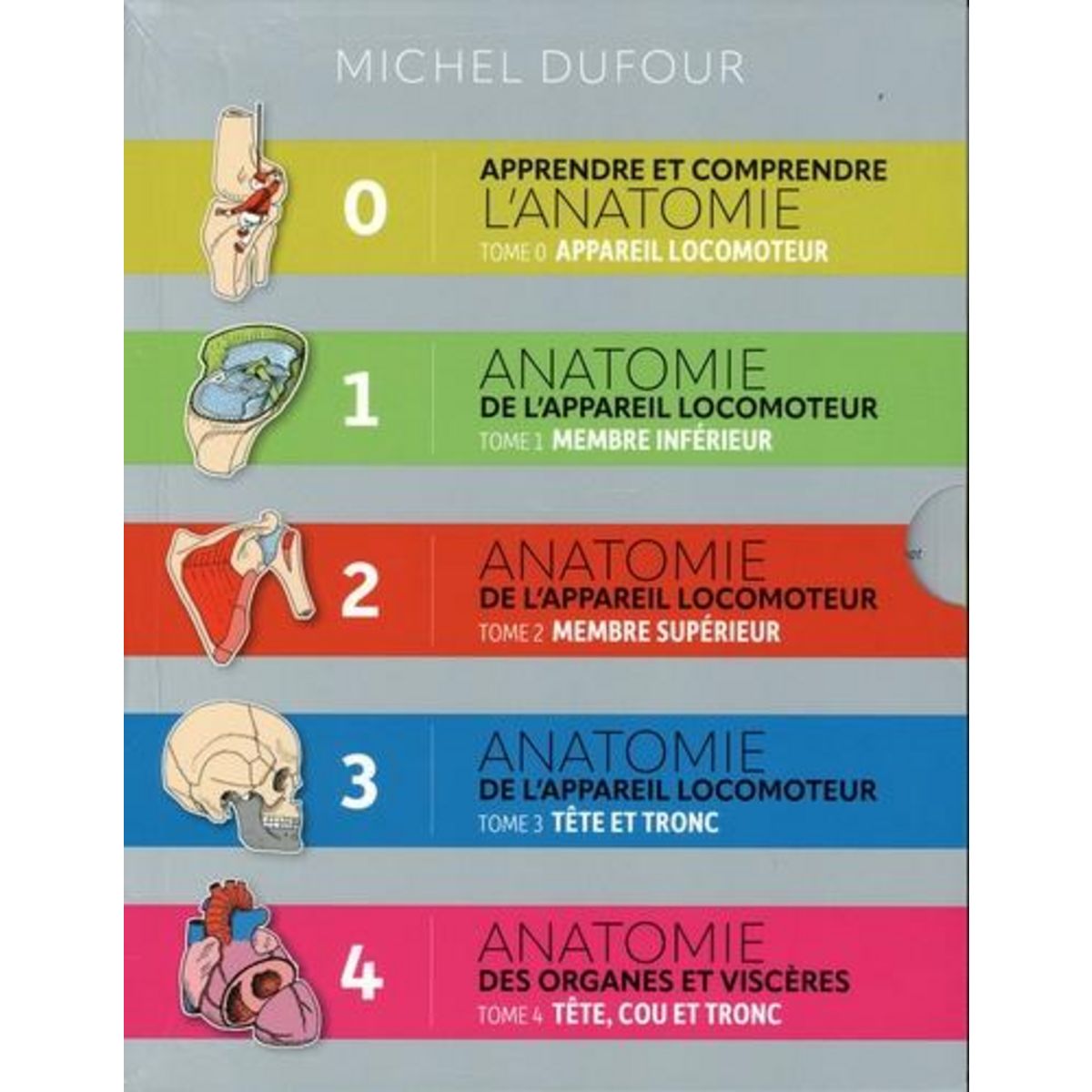 APPRENDRE ET COMPRENDRE L'ANATOMIE. COFFRET EN 5 VOLUMES : TOME 0, APPAREIL LOCOMOTEUR ; TOME 1, MEMBRE INFERIEUR ; TOME 2, MEMBRE SUPERIEUR ; TOME 3, TETE ET TRONC ; TOME 4, TETE, COU ET TRONC, Dufour Michel