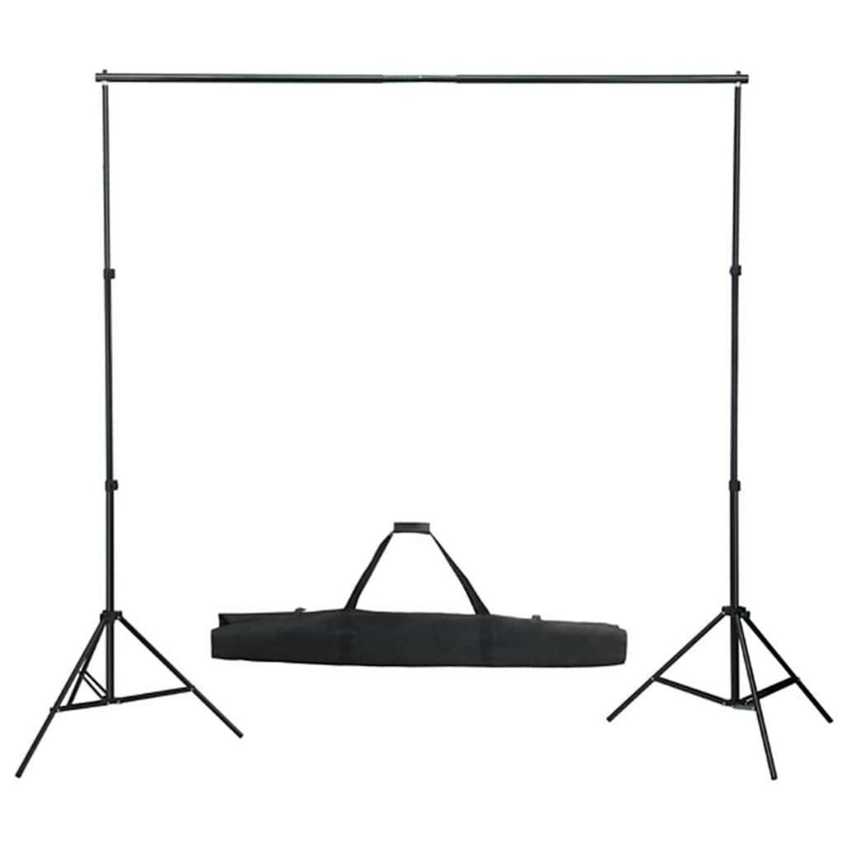 VIDAXL Kit de studio photo boîtes a lumiere toile de fond reflecteur