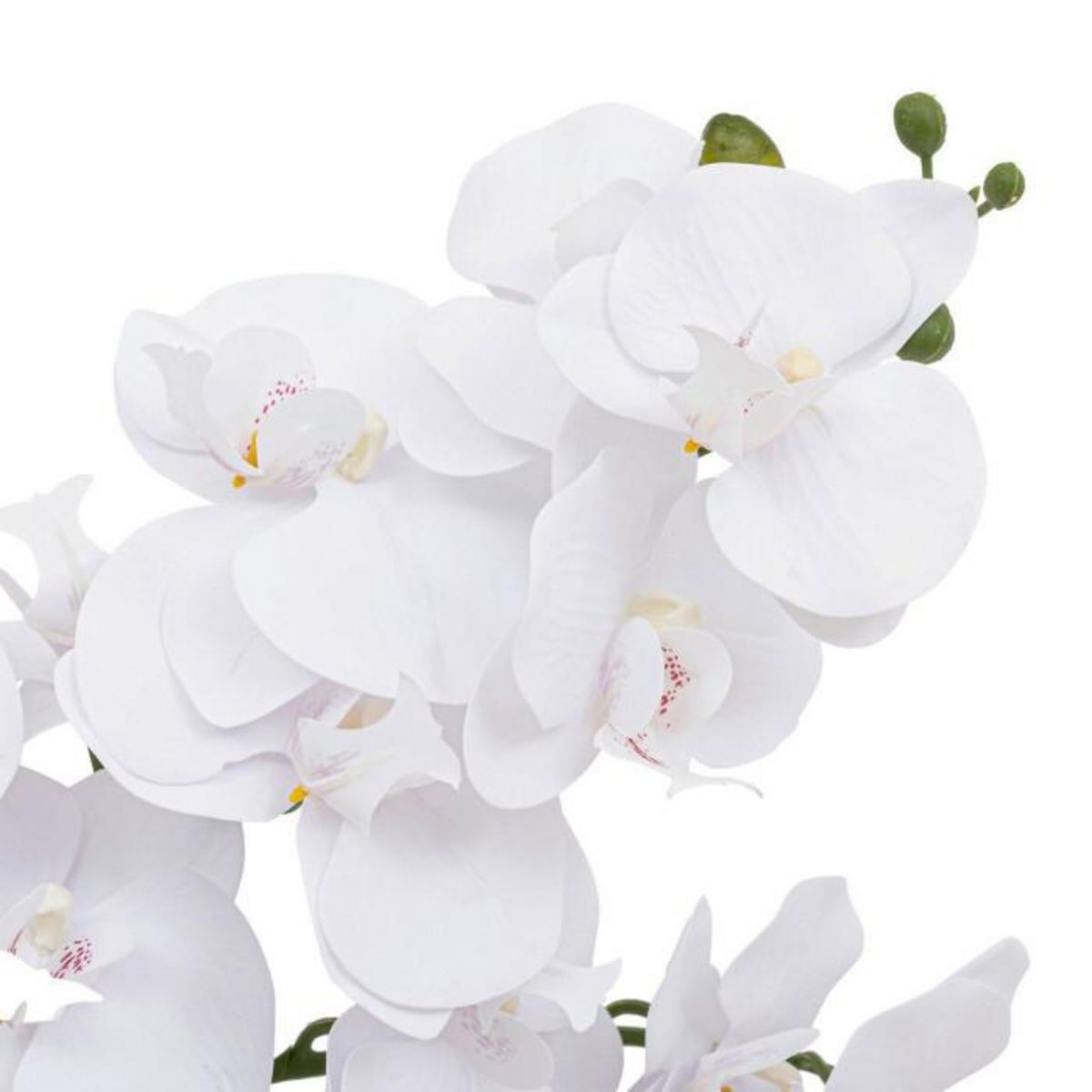 ATMOSPHERA Orchidée Artificielle en Pot  Dena  65cm Blanc
