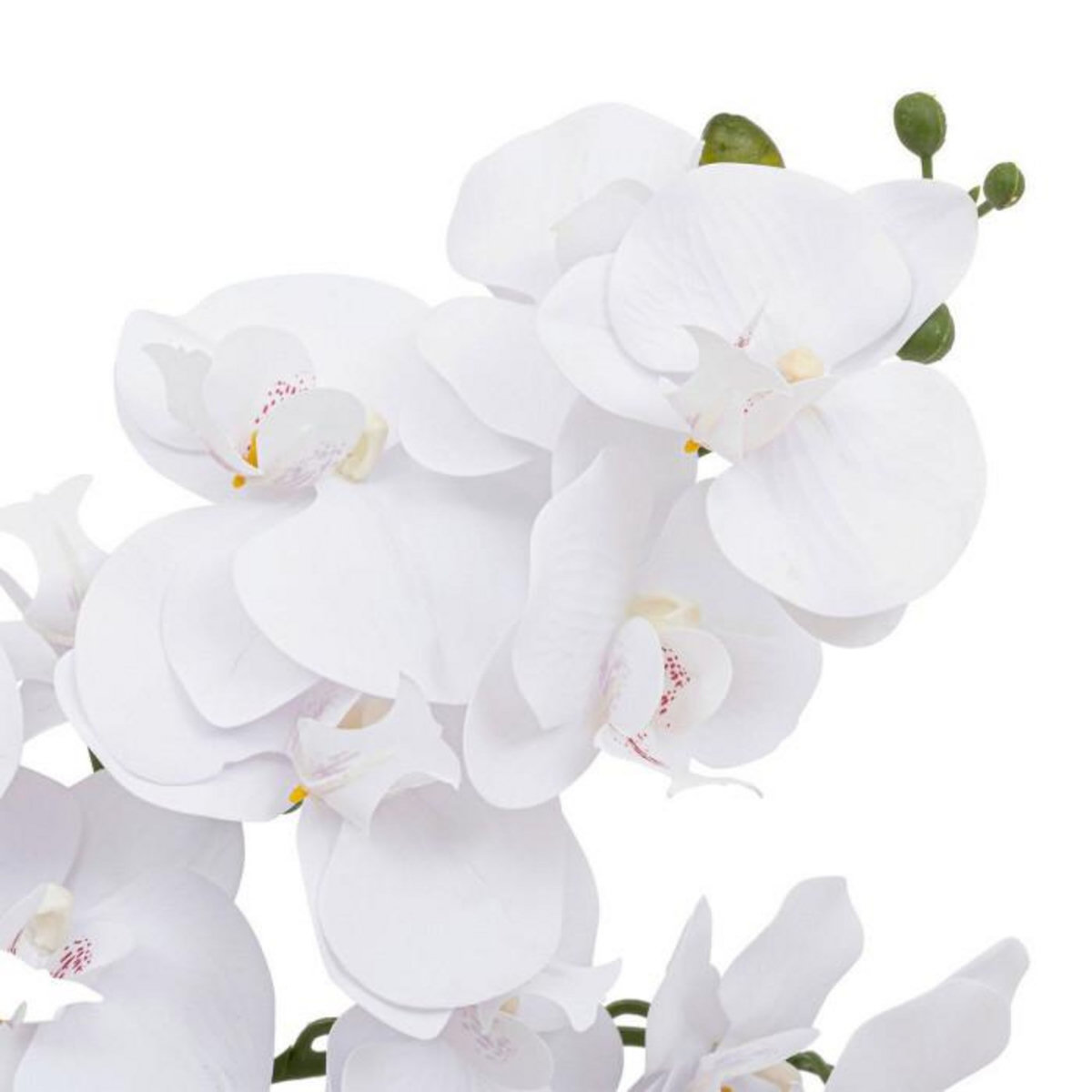ATMOSPHERA Orchidée Artificielle en Pot  Dena  65cm Blanc
