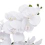 Voir la diapositive 2 : ATMOSPHERA Orchidée Artificielle en Pot  Dena  65cm Blanc