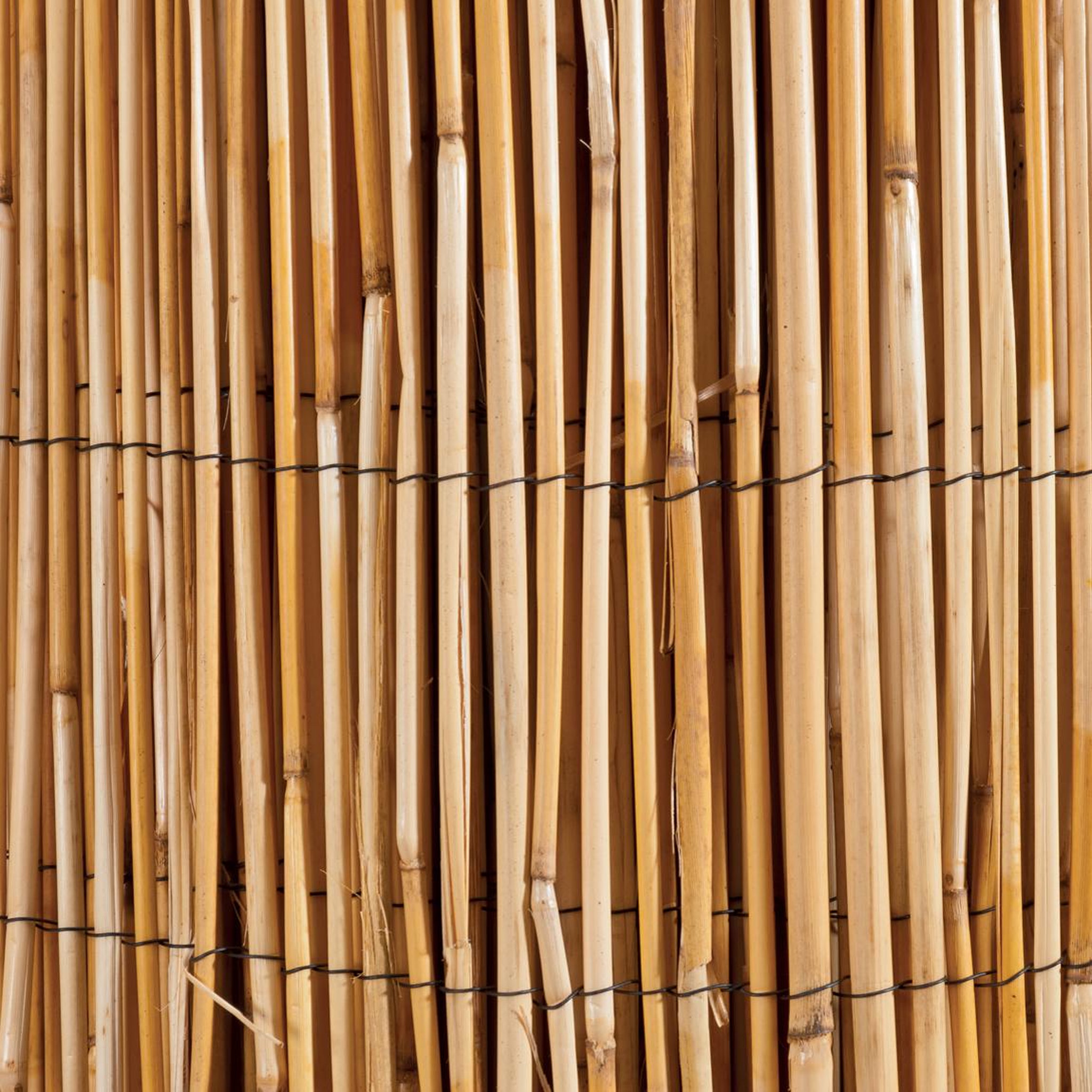 Voir la diapositive 2 :  Canisse en roseau naturel WERKA PRO  1 x 5 m