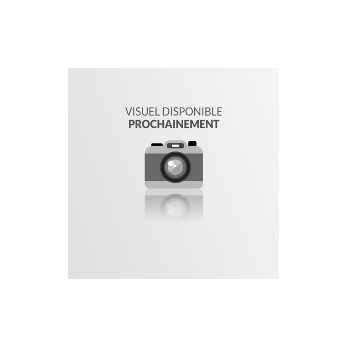 URBANGLIDE Chargeur 42V (3 pins) Hoverboard