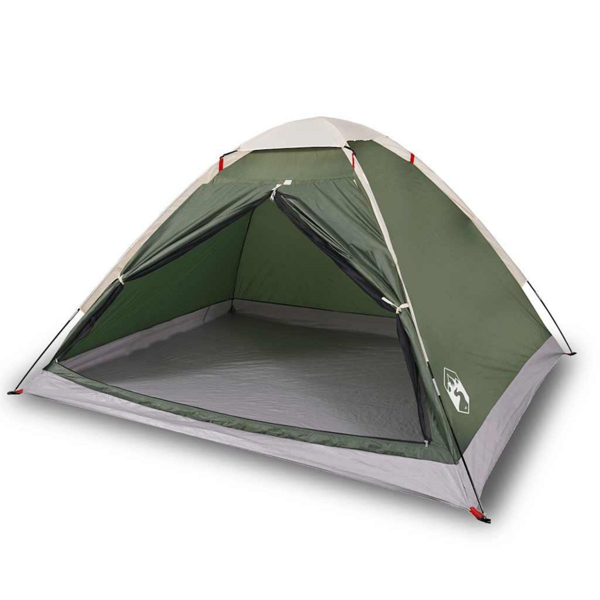 VIDAXL Tente de camping a dome 2 personne vert impermeable