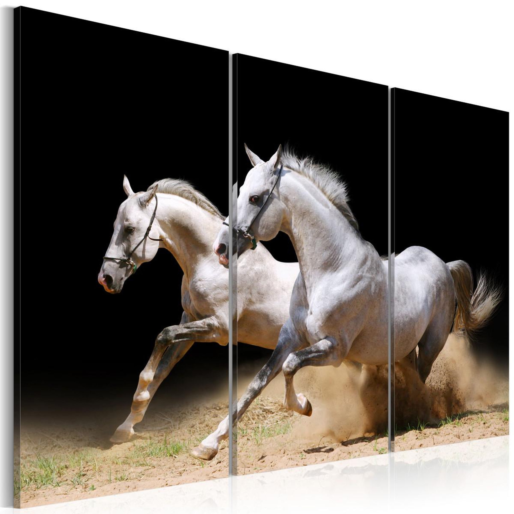 Paris Prix Tableau imprimé  chevaux force & dynamique. Coloris disponibles : Multicolore