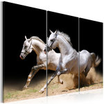 Paris Prix Tableau Imprimé  Chevaux Force & Dynamique. Coloris disponibles : Multicolore