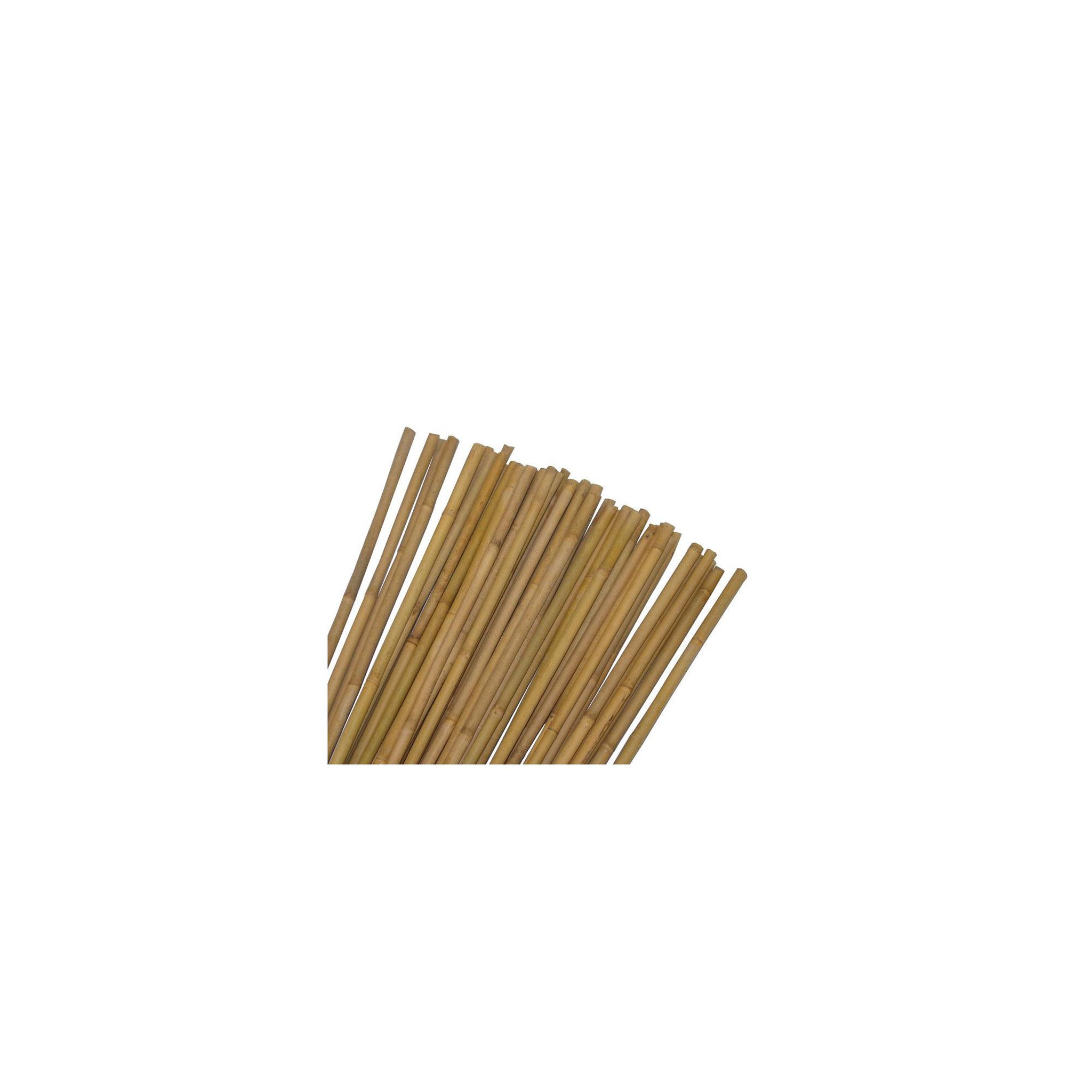 Voir la diapositive 1 : Lot de 10 tuteurs pour plantes et légumes - En bambou - Hauteur : 90 cm