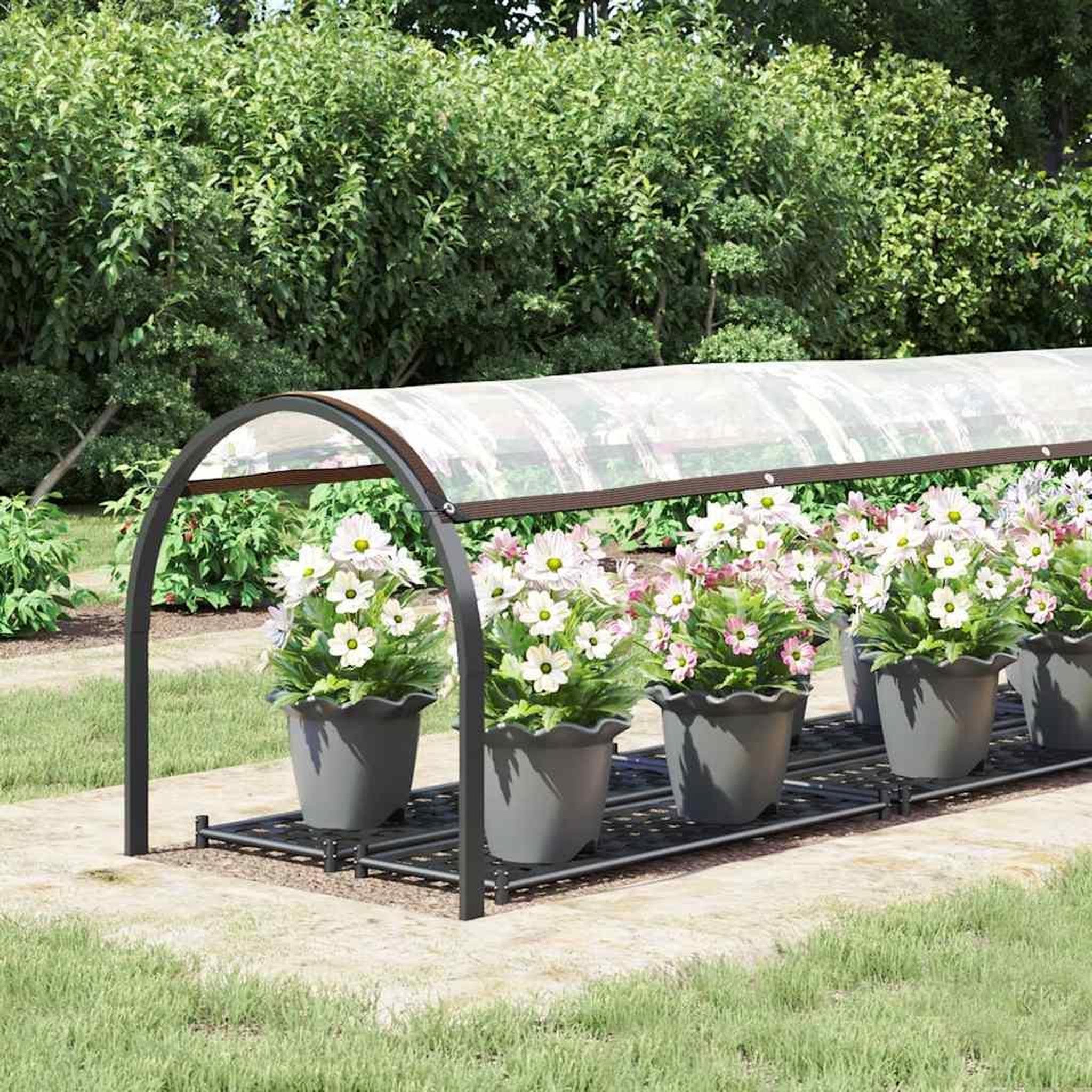 Voir la diapositive 2 : VIDAXL Bache transparente avec œillets 1x5 m polyethylene