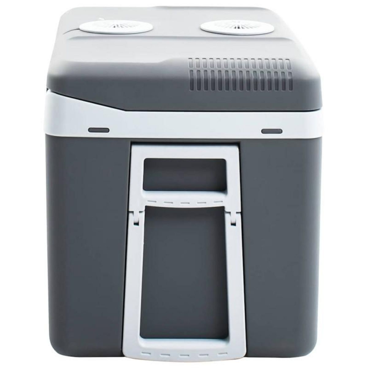 VIDAXL Glacière portable thermoélectrique 40 L 12 V 230 V E