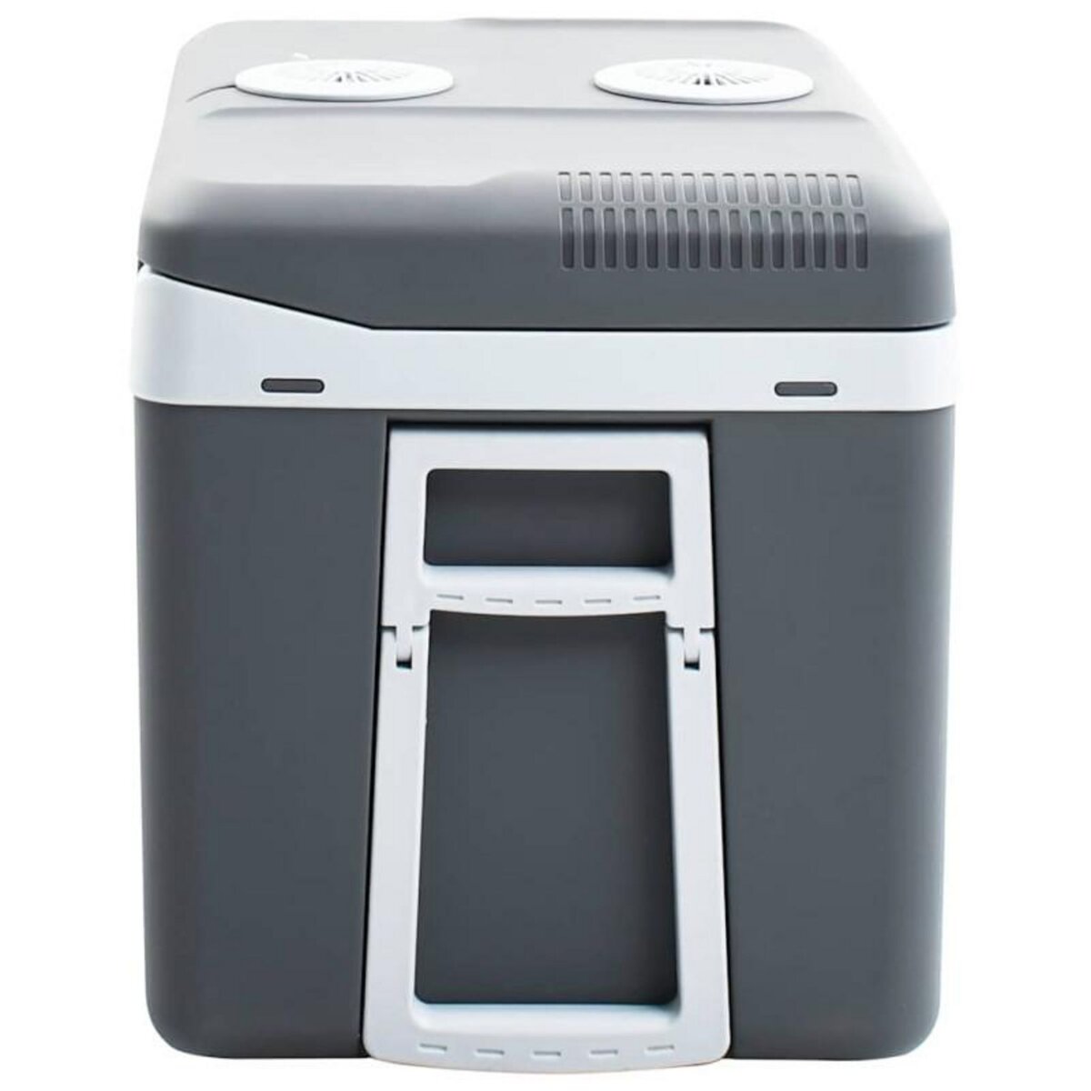 VIDAXL Glacière portable thermoélectrique 40 L 12 V 230 V E