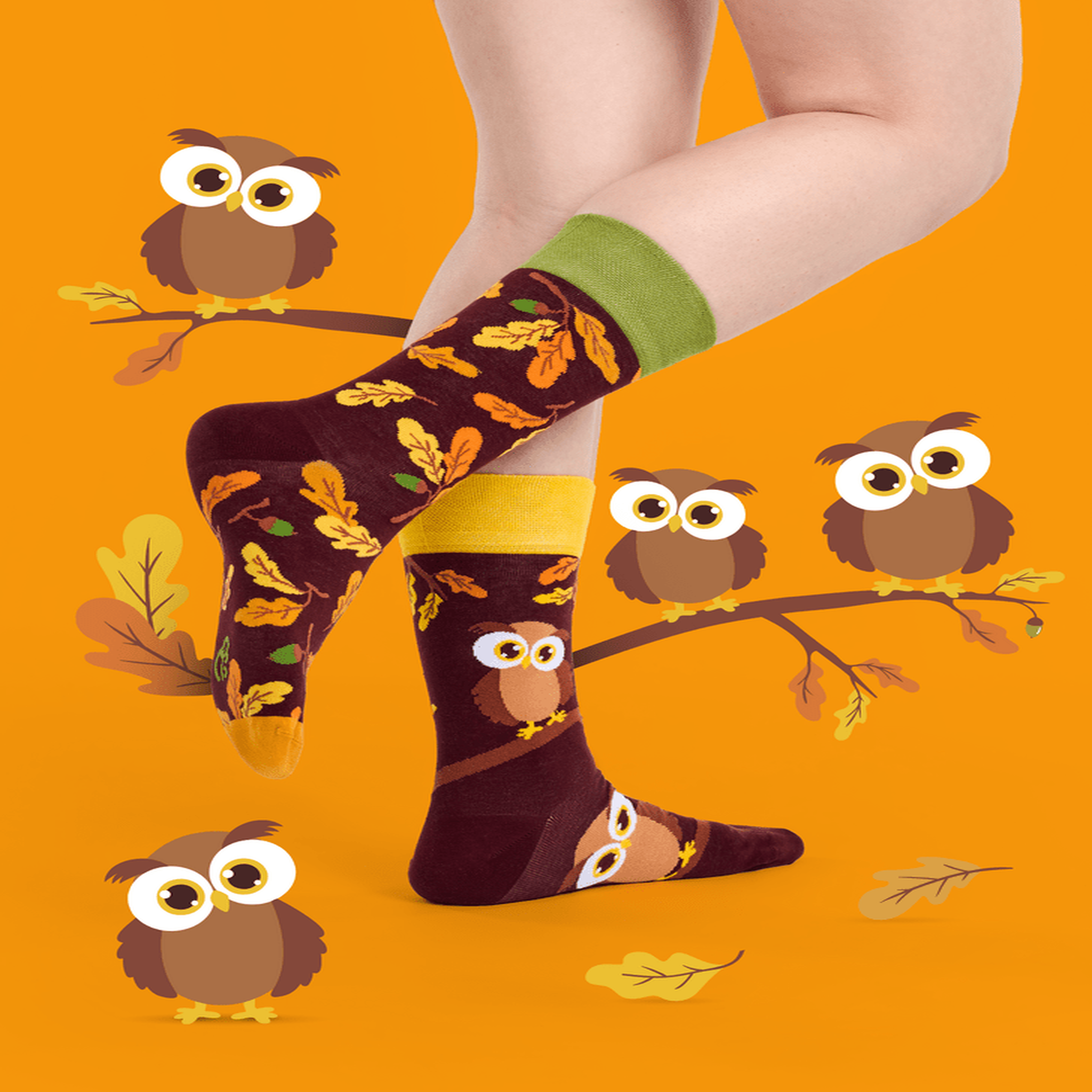 Voir la diapositive 4 : DEDOLES Chaussettes hibou curieux