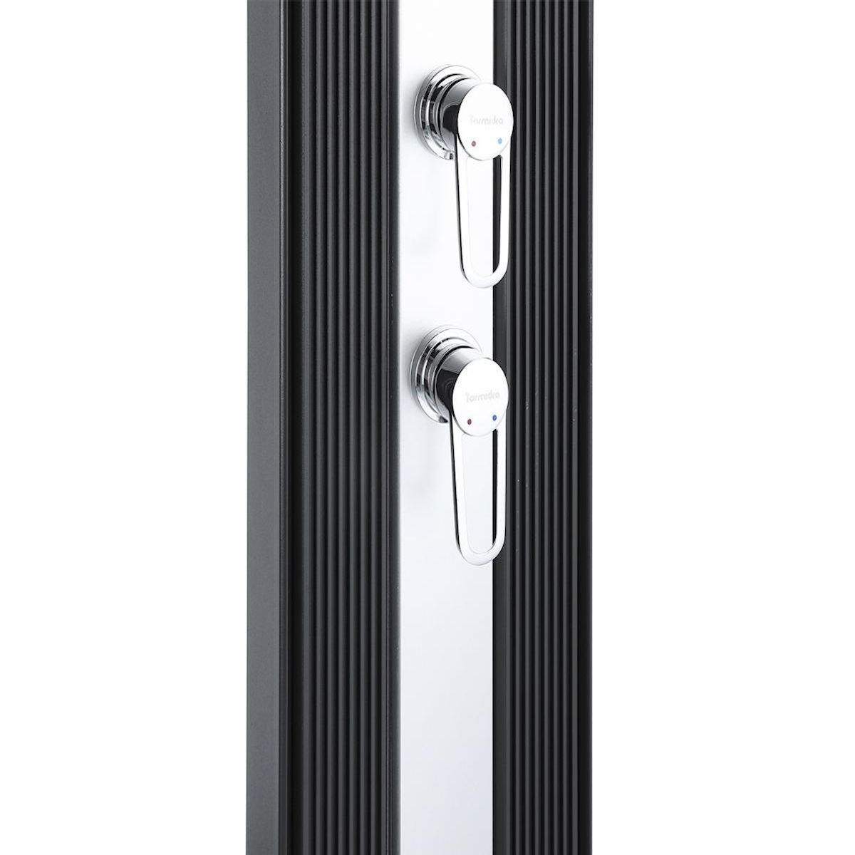 Formidra Douche solaire 40 L Dada Straight Anthracite habillage aluminium brossé - Formidra