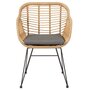 IDIMEX Lot de 2 chaises de jardin PARAMO imitation rotin, fauteuil pour terrasse ou balcon en polyrattan résistant aux UV et métal noir