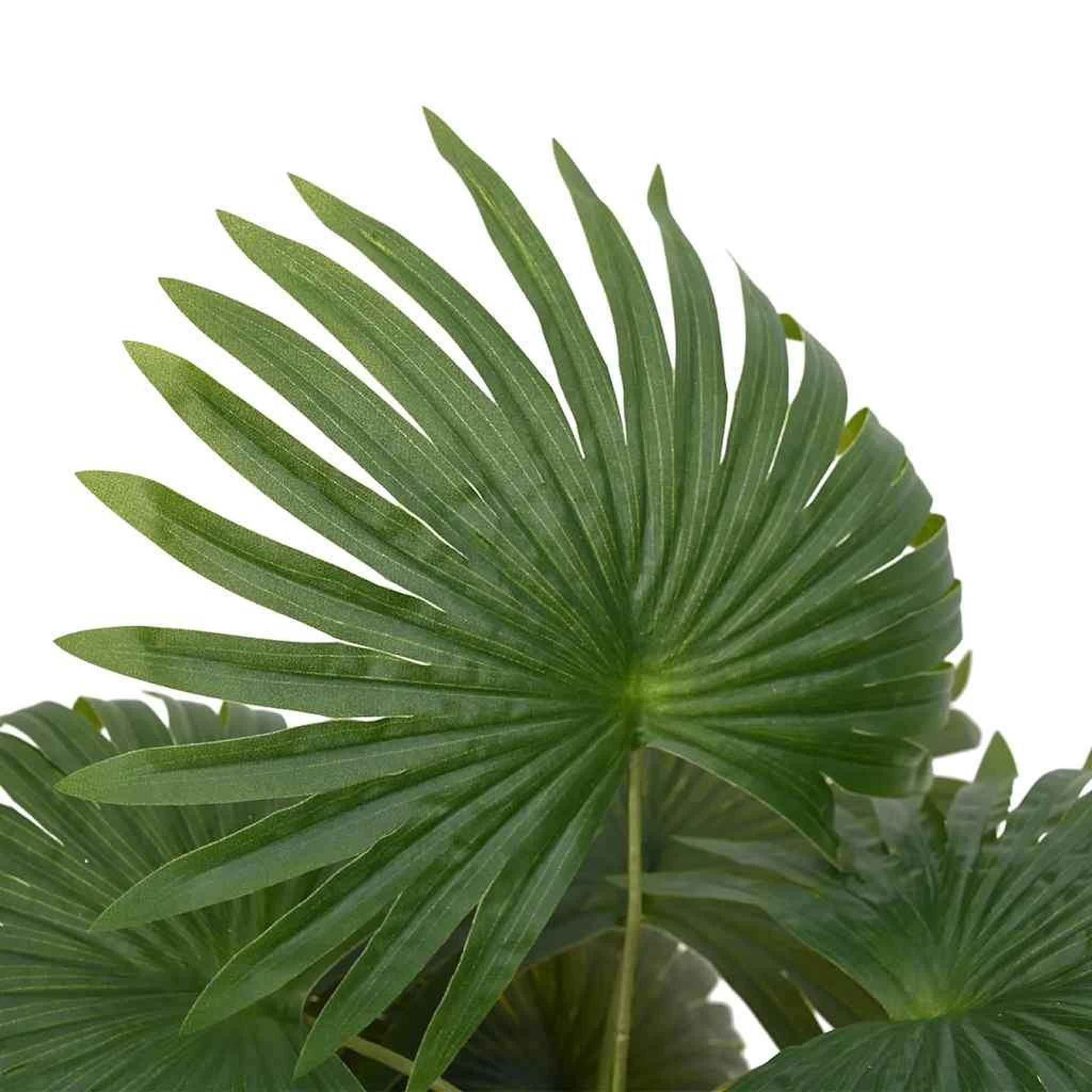 Voir la diapositive 2 : VIDAXL Palmier artificiel 9 feuilles 65 cm vert