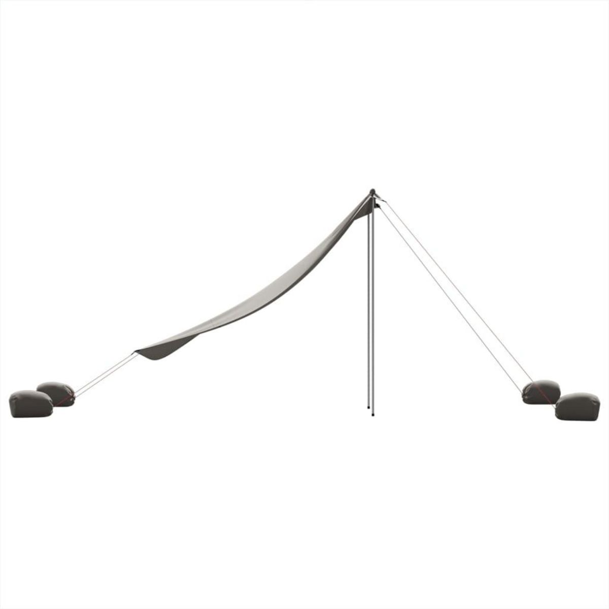 VIDAXL Auvent de plage avec ancres de sable gris 214x236 cm