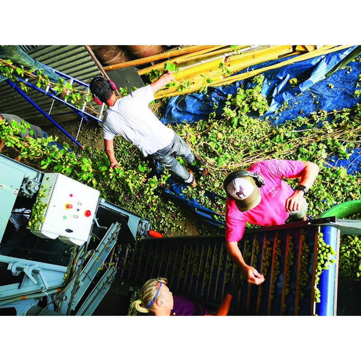 Smartbox Dégustation de bières et visite d'une brasserie solidaire près de Nantes - Coffret Cadeau Sport & Aventure