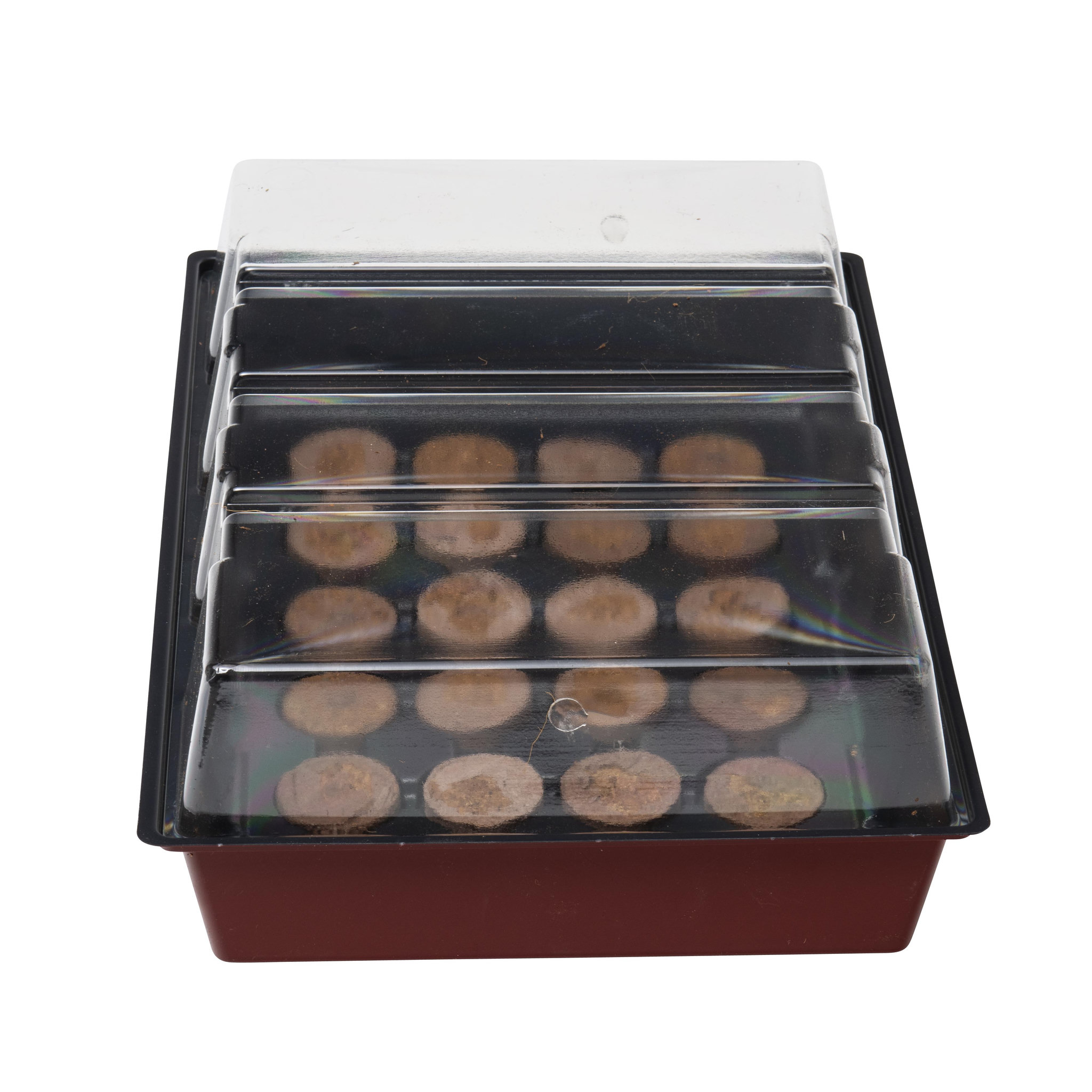 Voir la diapositive 5 :  Serre avec 24 pastilles 35 x 23,5 x 11cm