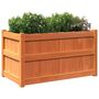 Voir la diapositive 4 : VIDAXL Jardiniere cire marron 90x50x50 cm bois de pin massif
