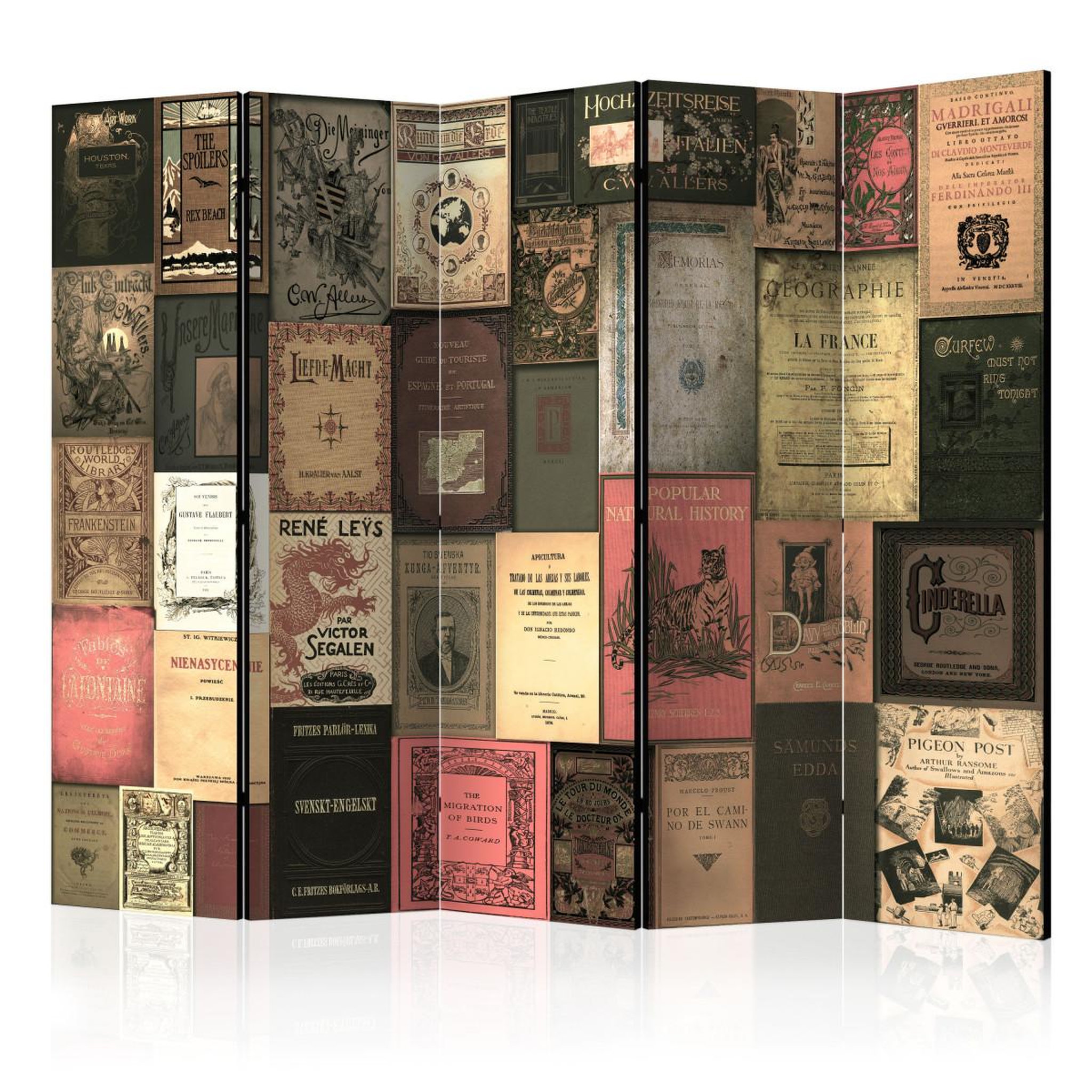 Paris Prix Paravent 5 volets  books of paradise  172x225cm