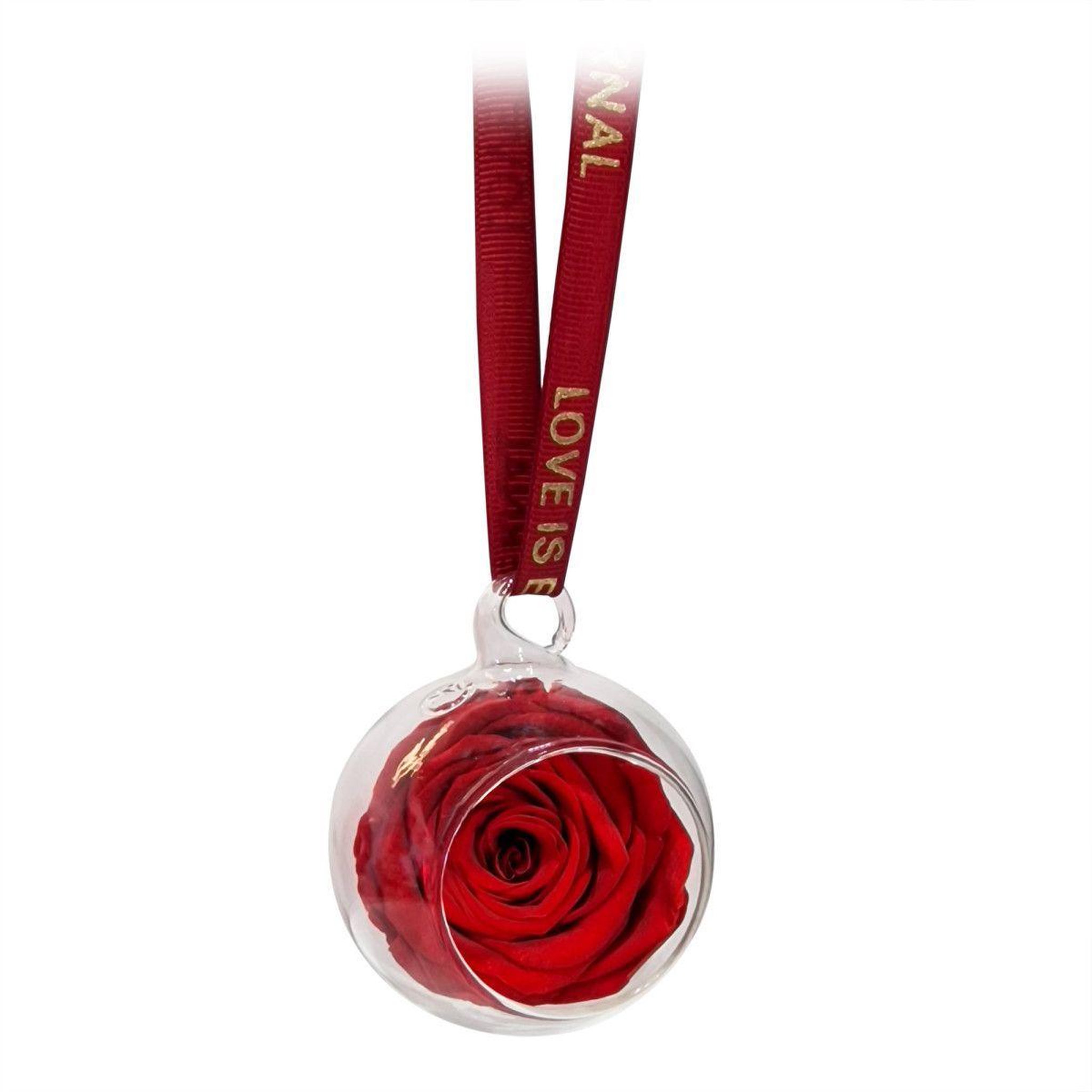 Voir la diapositive 3 : SC CRYSTAL Boule en verre décorée d'une rose éternelle rouge