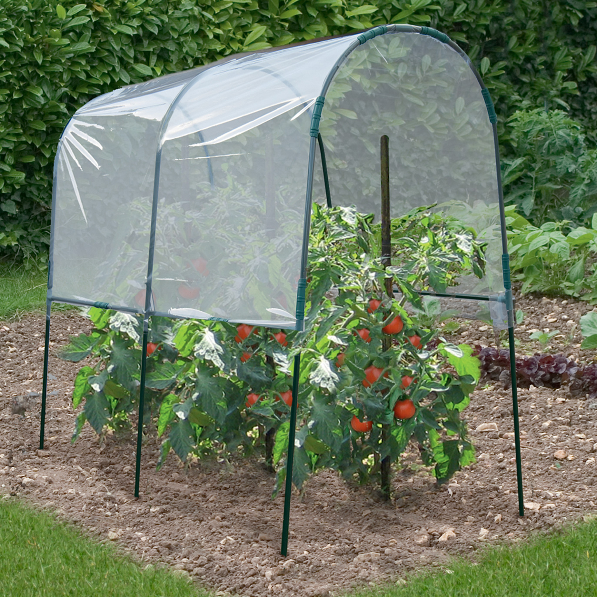 Voir la diapositive 2 : ID MARKET Serre à tomates de jardin 200 x 120 x 170 cm avec bâche transparente + arceaux en acier