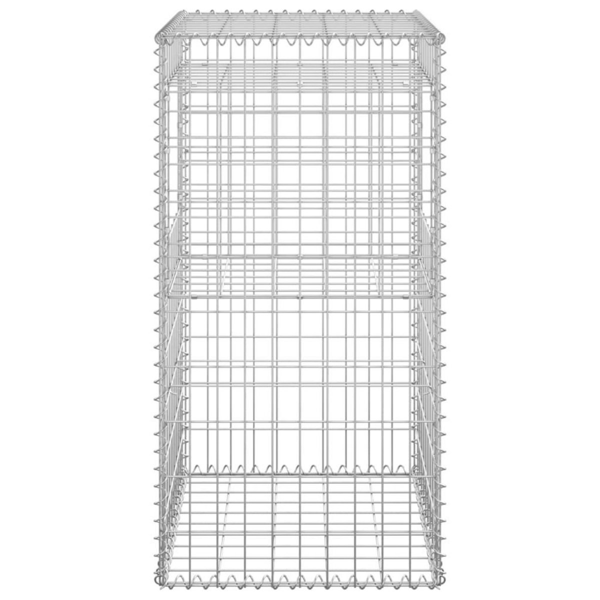 VIDAXL Poteau a panier de gabion 50x50x100 cm Fer