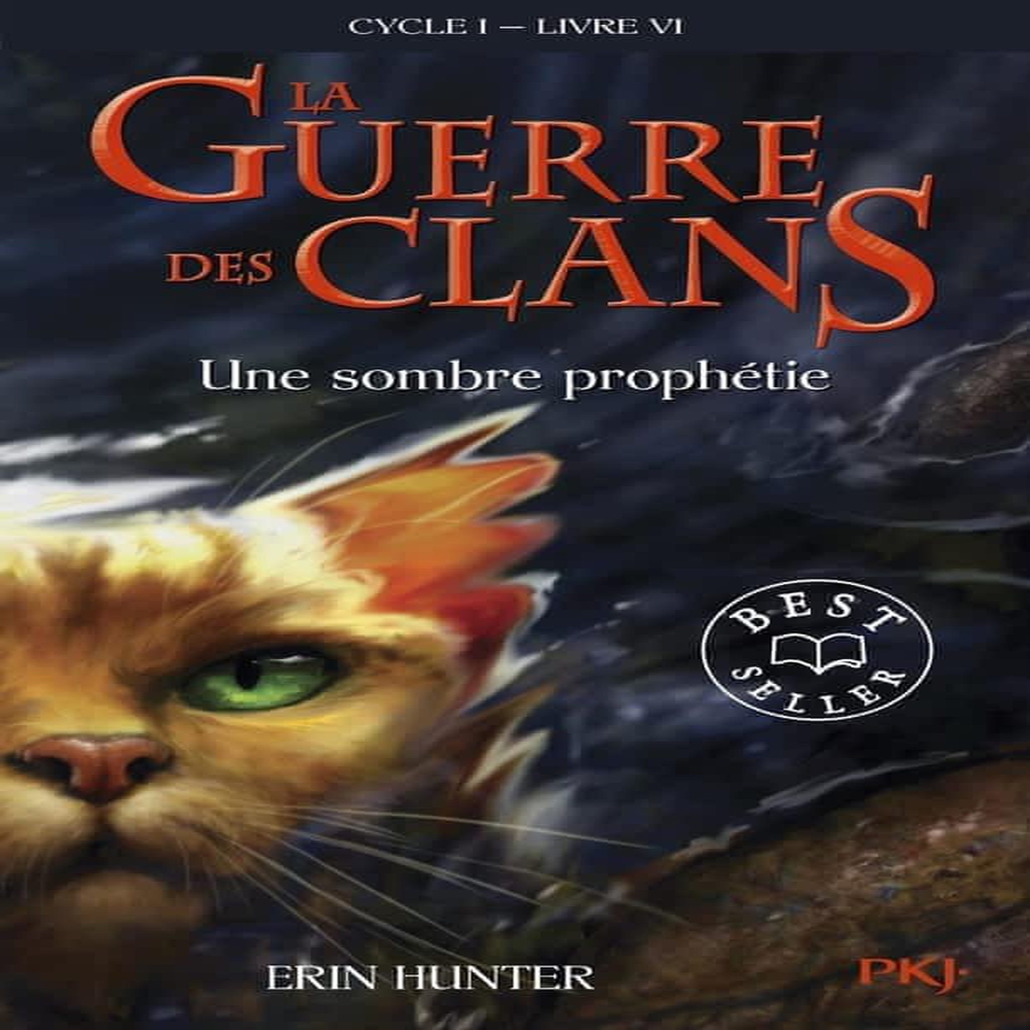 LA GUERRE DES CLANS (CYCLE 1) TOME 6 : UNE SOMBRE PROPHETIE, Hunter Erin