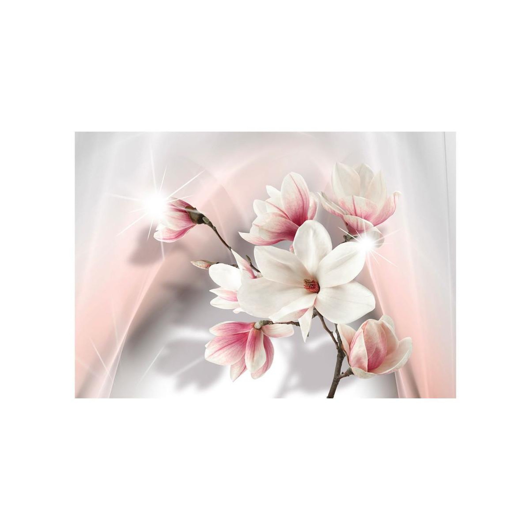 Voir la diapositive 2 : Paris Prix Papier peint  white magnolias