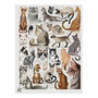 Voir la diapositive 2 : CROCODILE CREEK Puzzle - 200pcs - Les chats