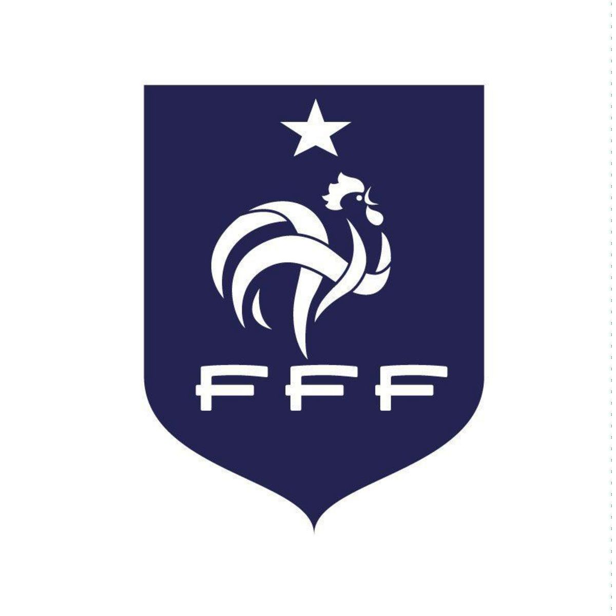 FFF Gourde de sport - Fédération Française de Football - En plastique - Contenance : 600 ml