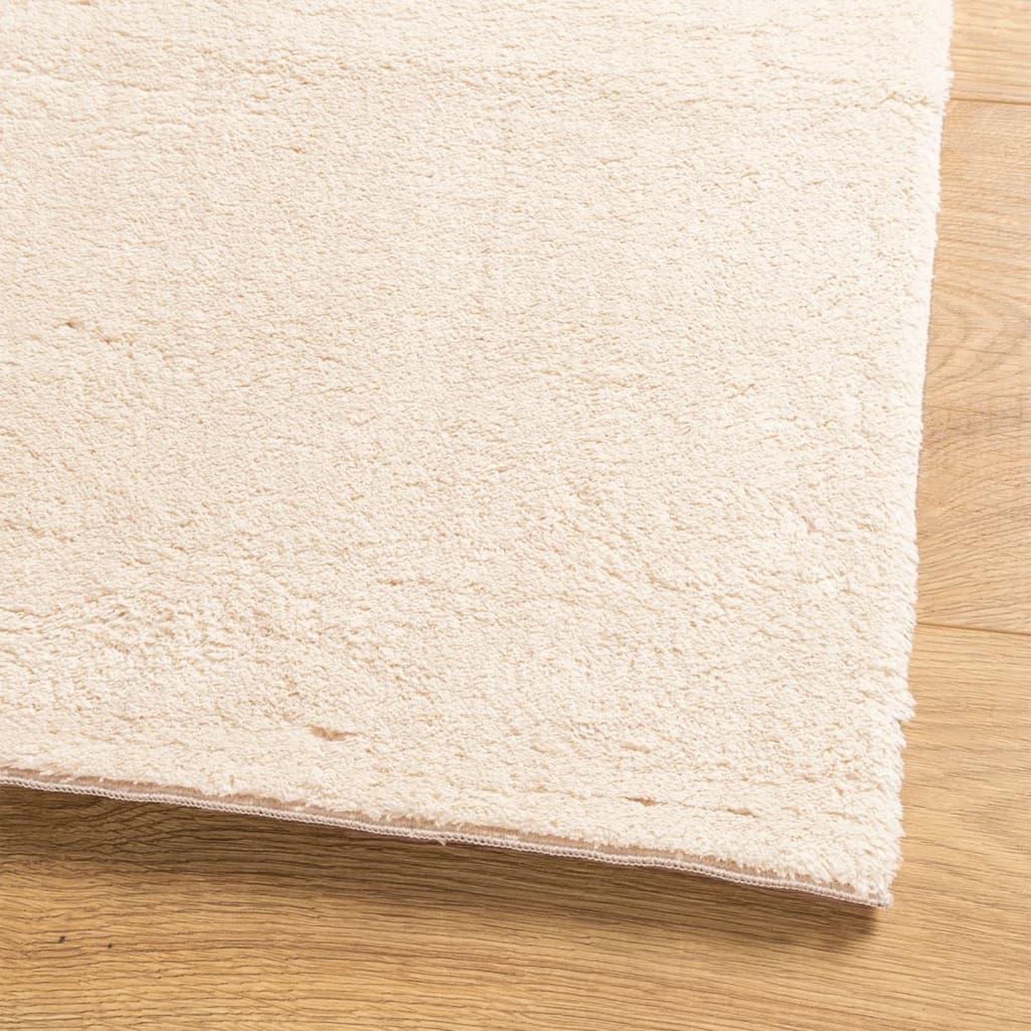 Voir la diapositive 4 : VIDAXL Tapis HUARTE a poils courts doux et lavable beige 240x340 cm
