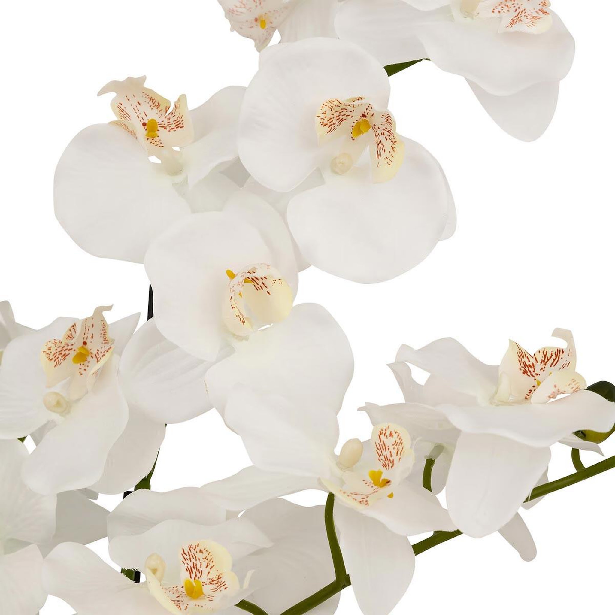 Voir la diapositive 3 : ATMOSPHERA Orchidée artificielle en pot  mick  80cm blanc