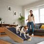 Voir la diapositive 6 : PAWHUT Bascule chien agility réversible escalier 2 en 1 bois