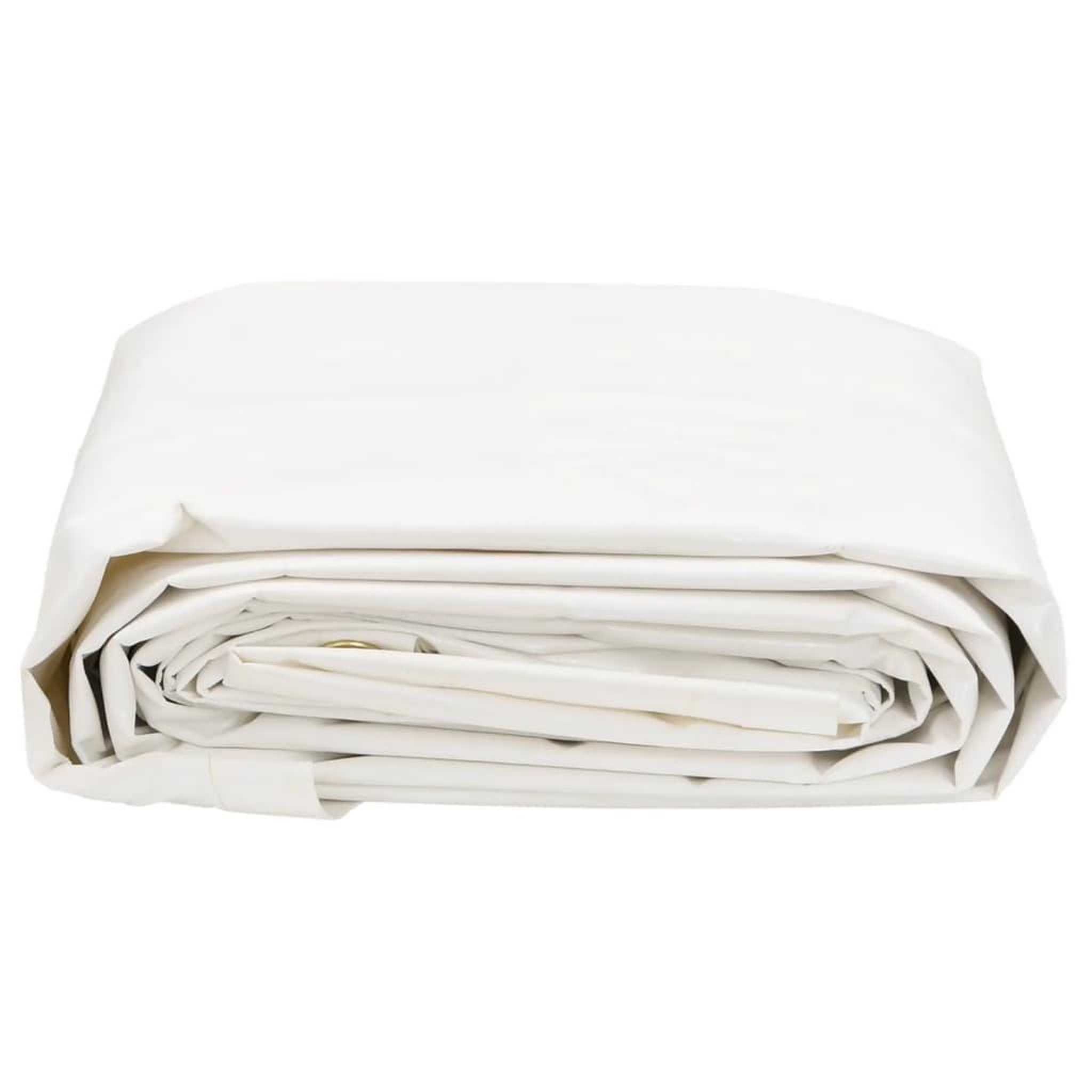 Voir la diapositive 3 : VIDAXL Bache blanc 5x7 m 650 g/m²