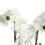 Voir la diapositive 2 : ATMOSPHERA Composition Florale & Vase  Orchidée  53cm Blanc