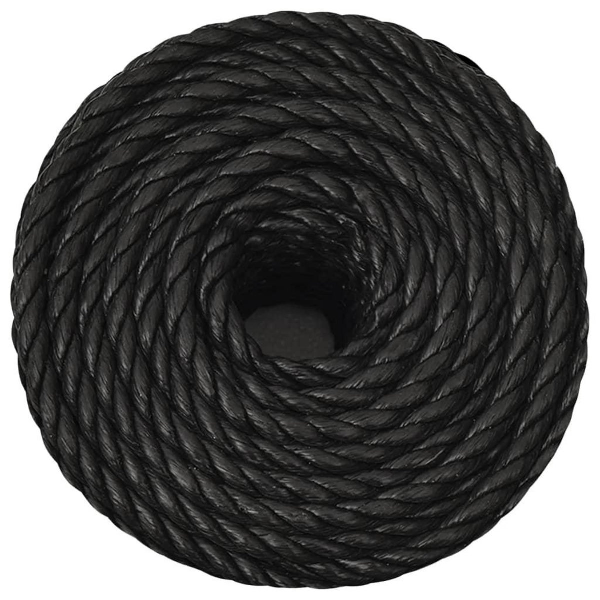 VIDAXL Corde de travail Noir 10 mm 250 m polypropylene