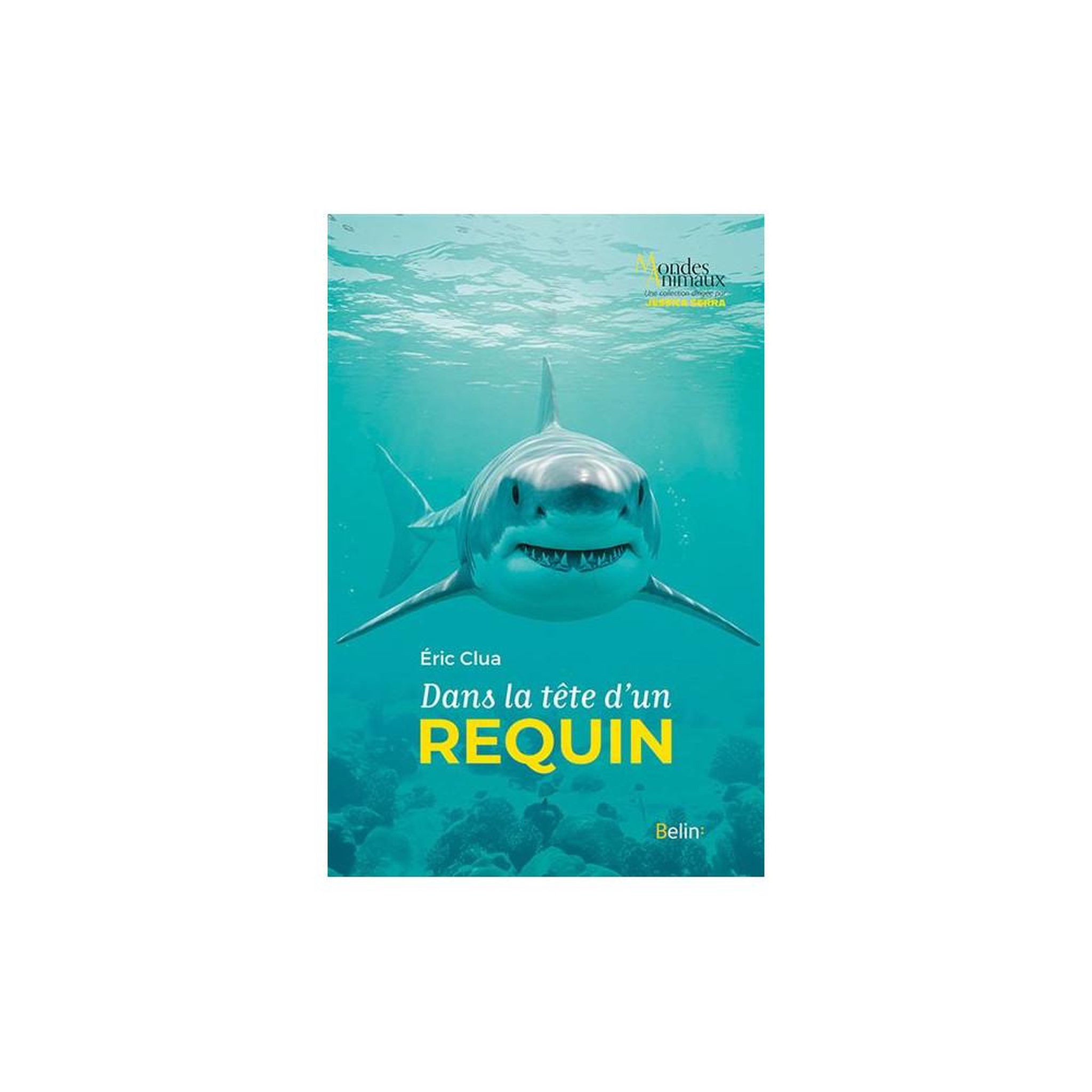 Livre science “mondes animaux” : dans la tête d'un requin, grand format broché, 224 pages