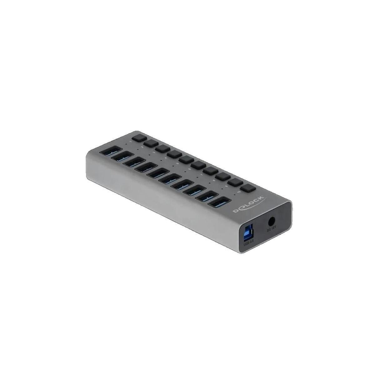 DeLock Hub USB Delock 63670 - 10 ports SuperSpeed USB3.0 - Gris