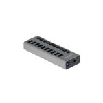 DeLock Hub USB Delock 63670 - 10 ports SuperSpeed USB3.0 - Gris