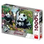 DINO Puzzle secret 1000 pièces : Les pandas