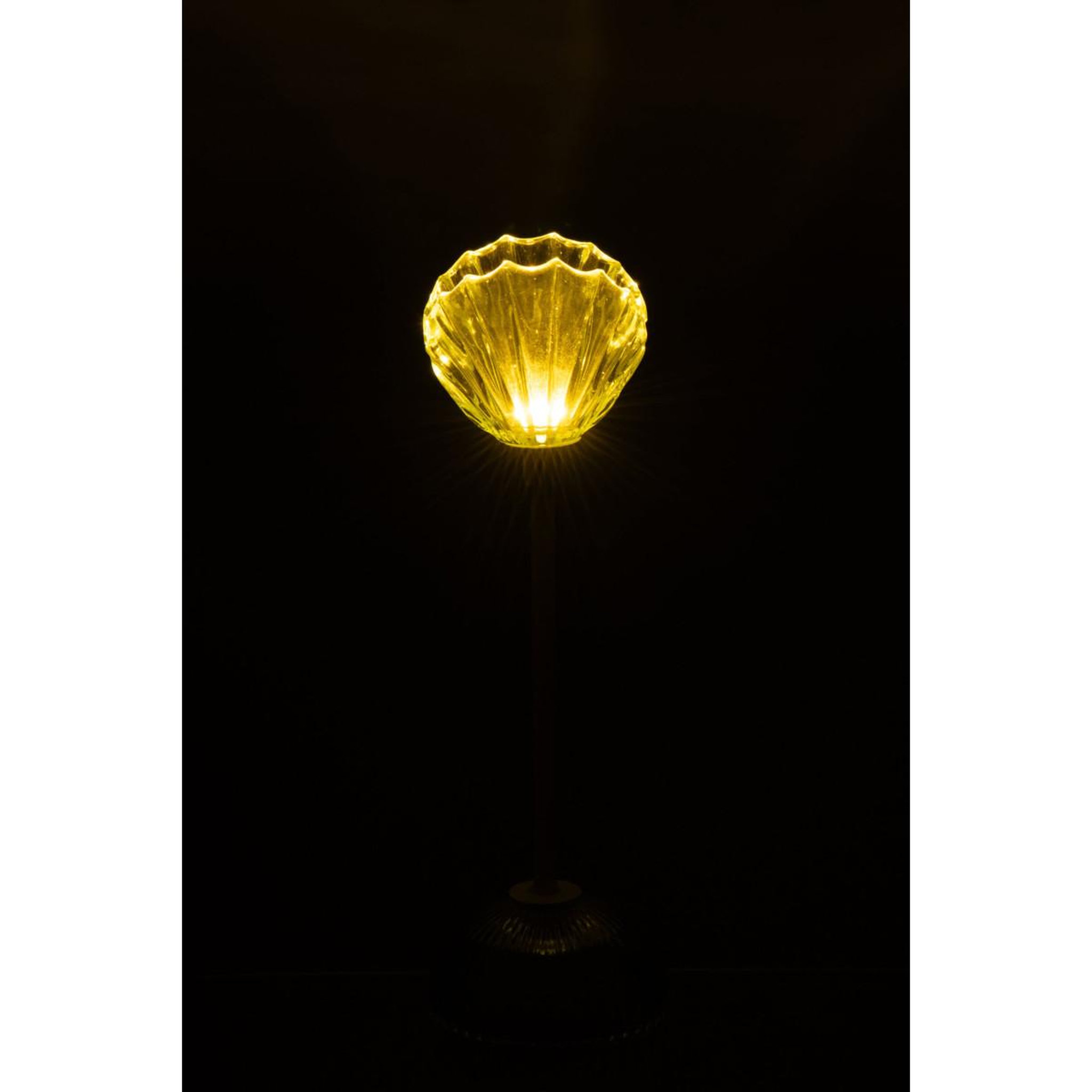 Voir la diapositive 4 : J-LINE Lampe à poser led coquillage  conchiglia  31cm vert clair