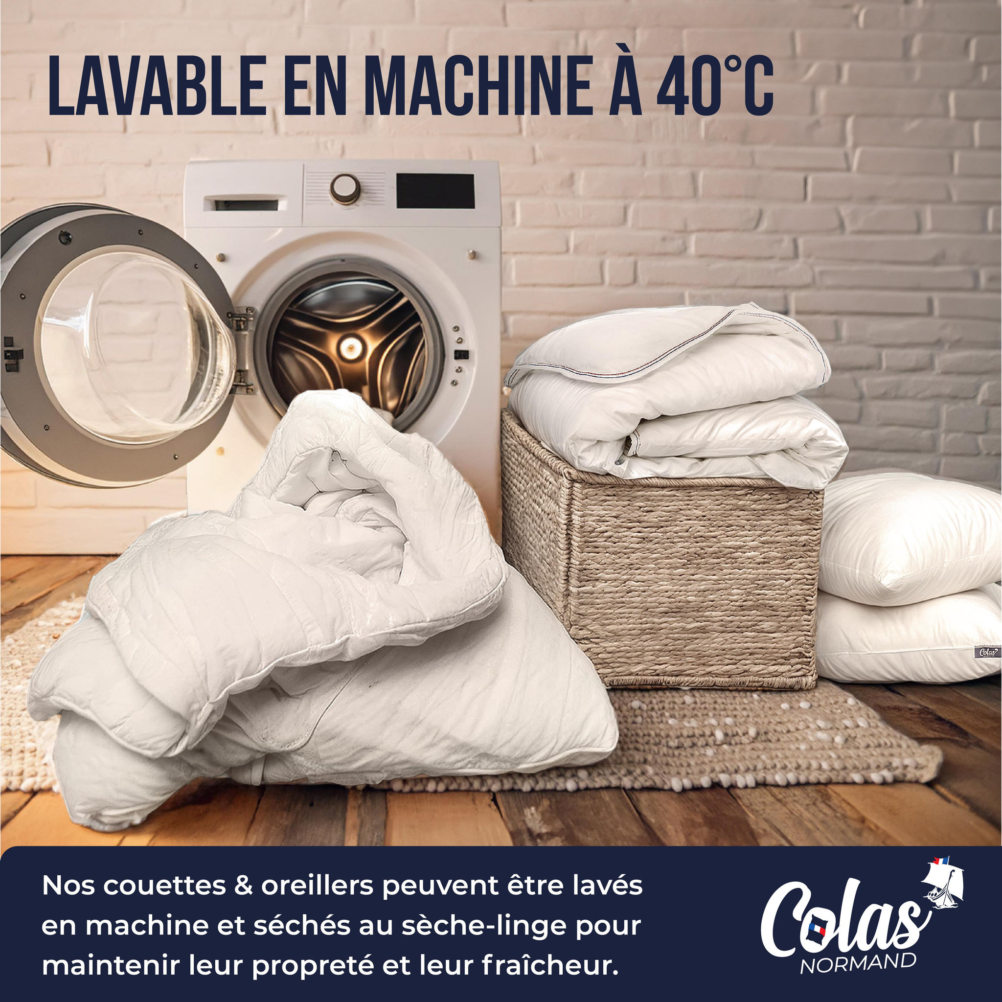 Voir la diapositive 5 : COLAS NORMAND Lot d'oreillers bio moelleux 65x65 cm