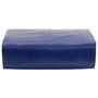 Voir la diapositive 2 : VIDAXL Bache bleu 3x5 m 600 g/m²