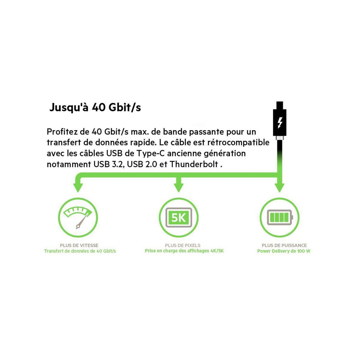 Belkin Adaptateur USB C USB 4 C 0.80M
